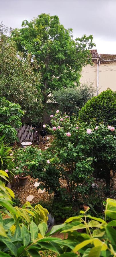Usclas-l'Herault Villa Fontilha المظهر الخارجي الصورة