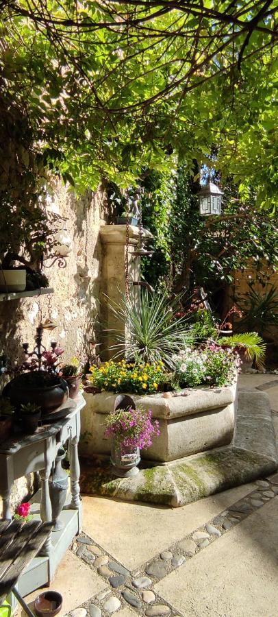 Usclas-l'Herault Villa Fontilha المظهر الخارجي الصورة